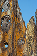 Patina 19